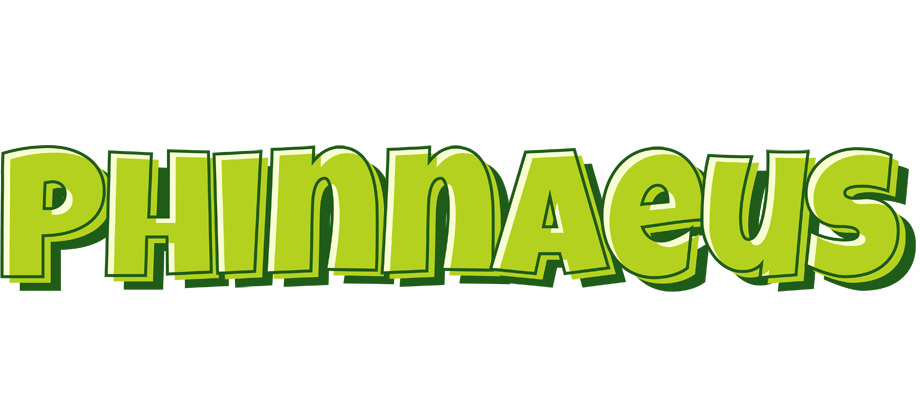 Phinnaeus summer logo