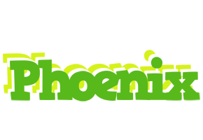 Phoenix picnic logo