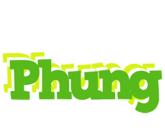 Phung picnic logo