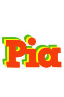 Pia bbq logo