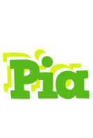 Pia picnic logo
