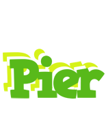 Pier picnic logo