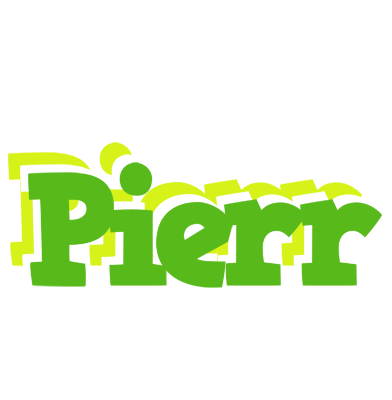 Pierr picnic logo