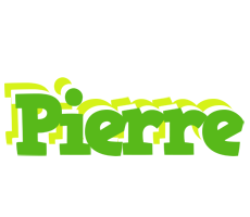 Pierre picnic logo