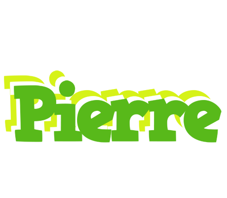 Pierre picnic logo