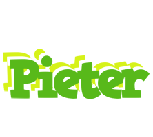 Pieter picnic logo