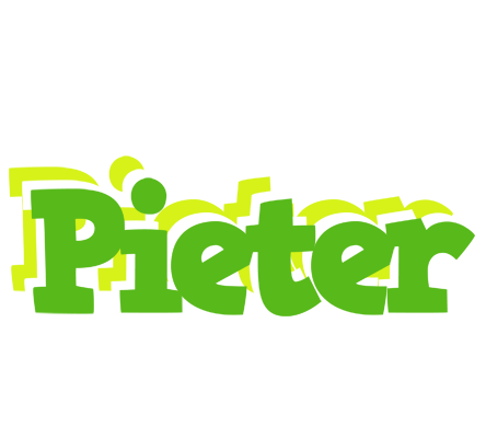 Pieter picnic logo