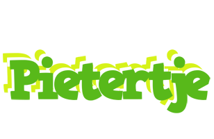 Pietertje picnic logo