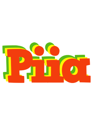 Piia bbq logo