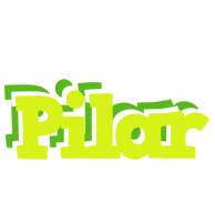 Pilar citrus logo