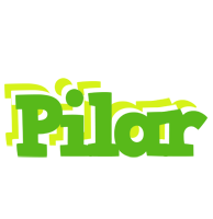 Pilar picnic logo