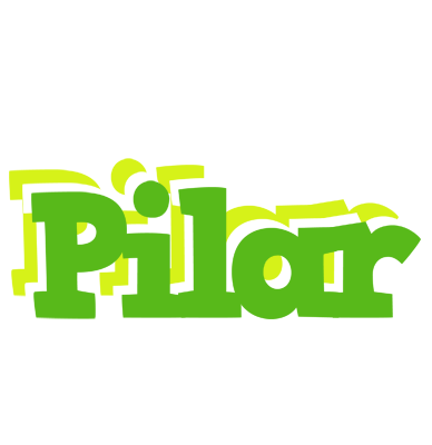 Pilar picnic logo