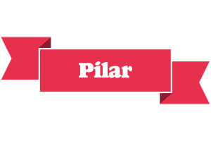 Pilar sale logo