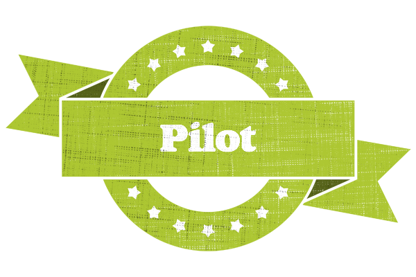 Pilot change logo