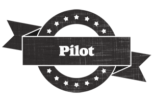 Pilot grunge logo