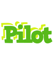 Pilot picnic logo