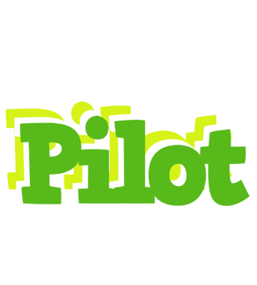 Pilot picnic logo