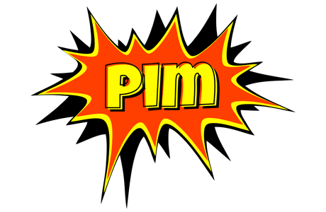 Pim bazinga logo