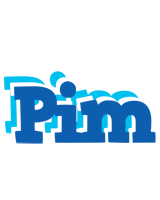 Pim business logo