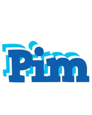 Pim business logo