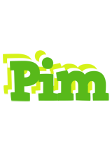 Pim picnic logo