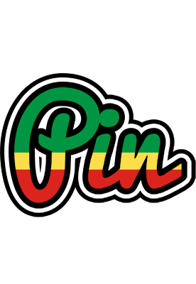 Pin african logo