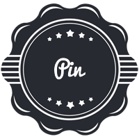 Pin badge logo