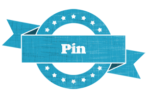 Pin balance logo