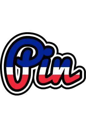 Pin france logo