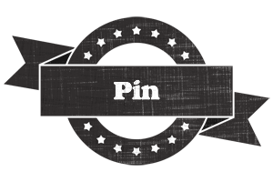 Pin grunge logo