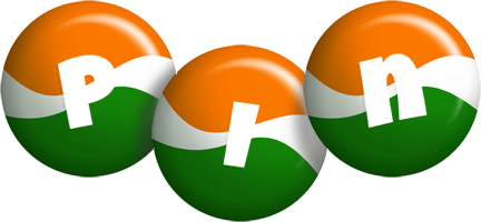 Pin india logo