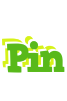 Pin picnic logo