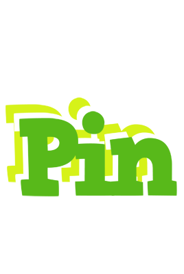 Pin picnic logo