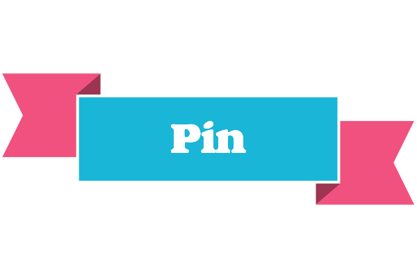Pin today logo