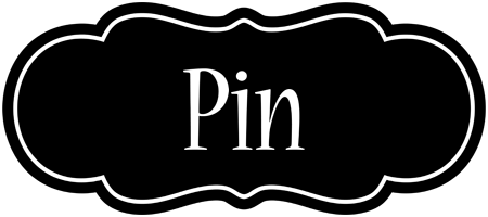 Pin welcome logo