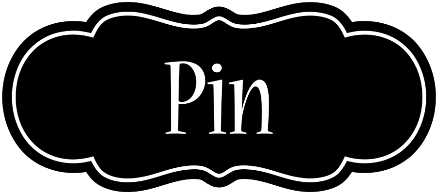 Pin welcome logo