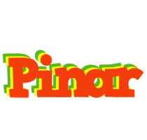 Pinar bbq logo