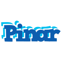 Pinar business logo