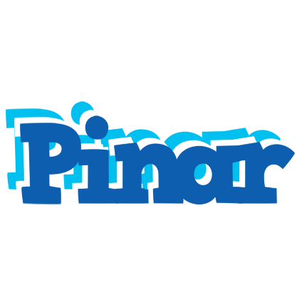 Pinar business logo