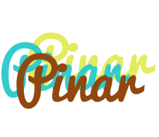 Pinar cupcake logo