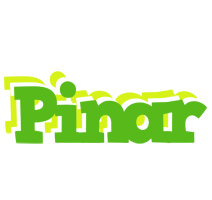 Pinar picnic logo