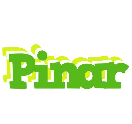 Pinar picnic logo