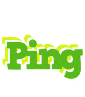 Ping picnic logo