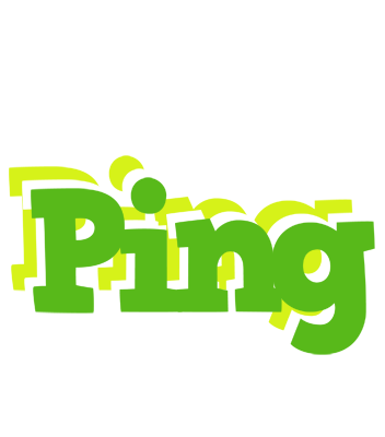 Ping picnic logo