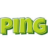 Ping summer logo