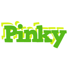 Pinky picnic logo