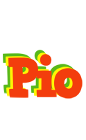 Pio bbq logo