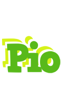 Pio picnic logo