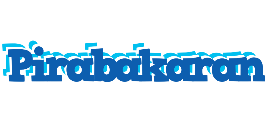Pirabakaran business logo