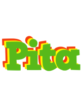 Pita crocodile logo